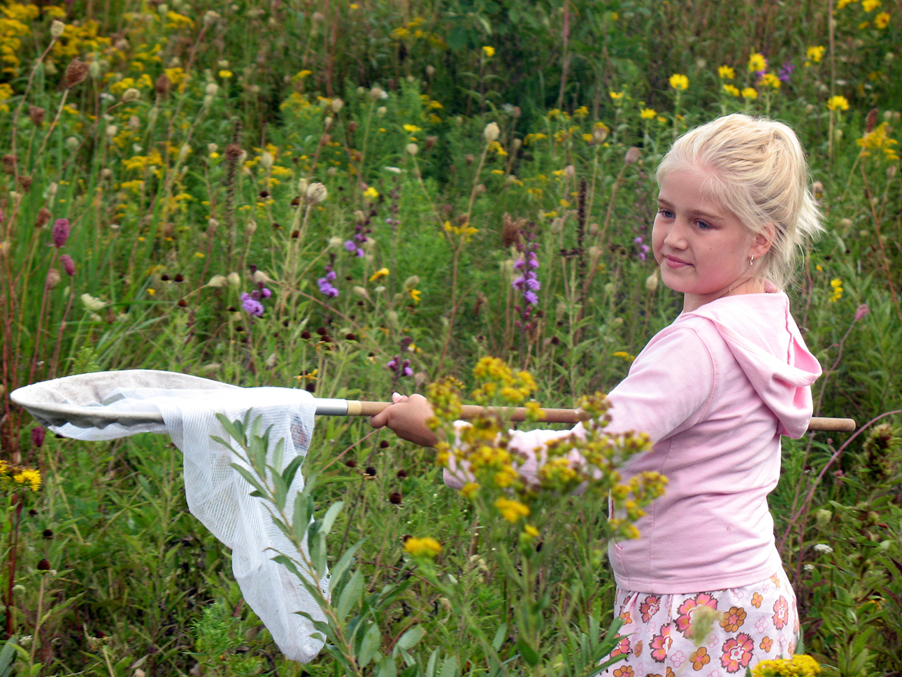 Young girl in prairie grass with a butterfly net.